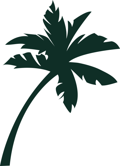 palmtree
